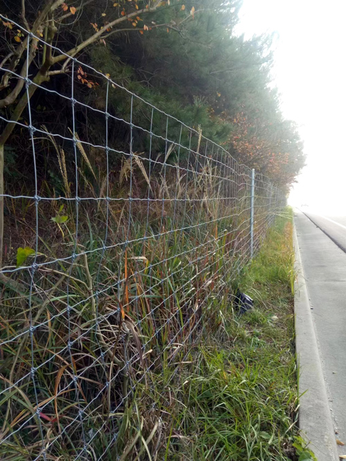 Fixed knot fence