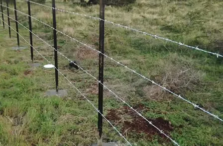 Y star pickets, barbed wire, farm fencing