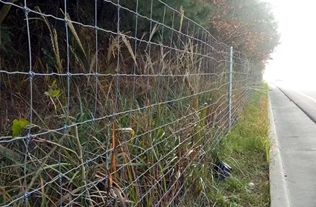 Fixed knot fence & fence post for farm fencing